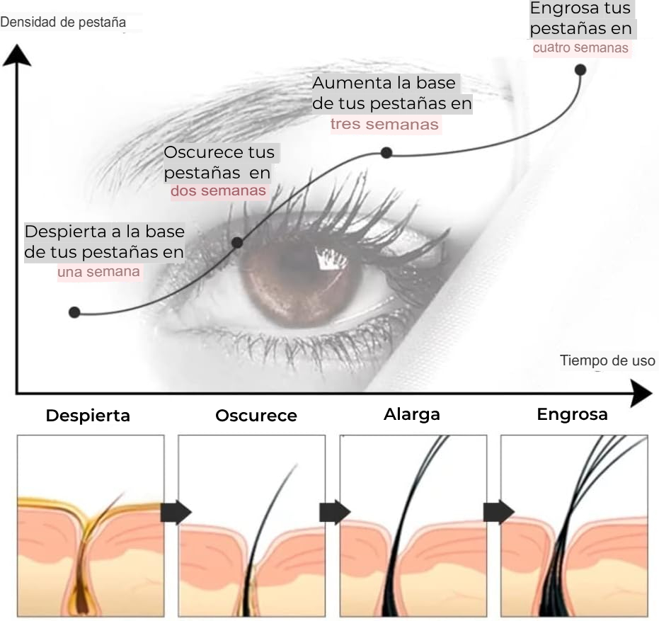 Serum de Crecimiento para Pestañas y Cejas LANBENA